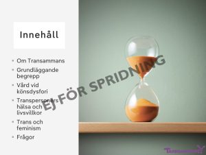 Feminarium om trans 2