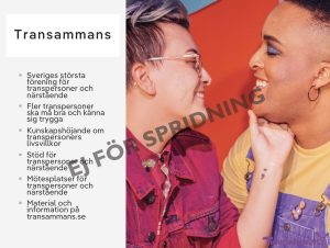 Feminarium om trans 3