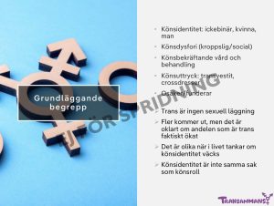 Feminarium om trans 5