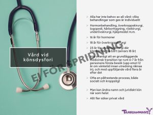 Feminarium om trans 8
