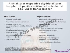 Feminarium om trans 15