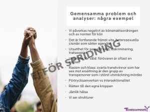 Feminarium om trans 17